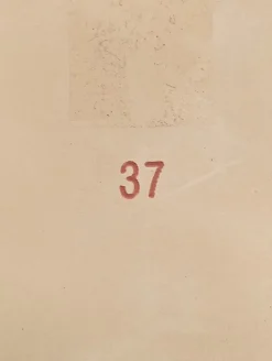 Klassische Ballerinas Größe 37