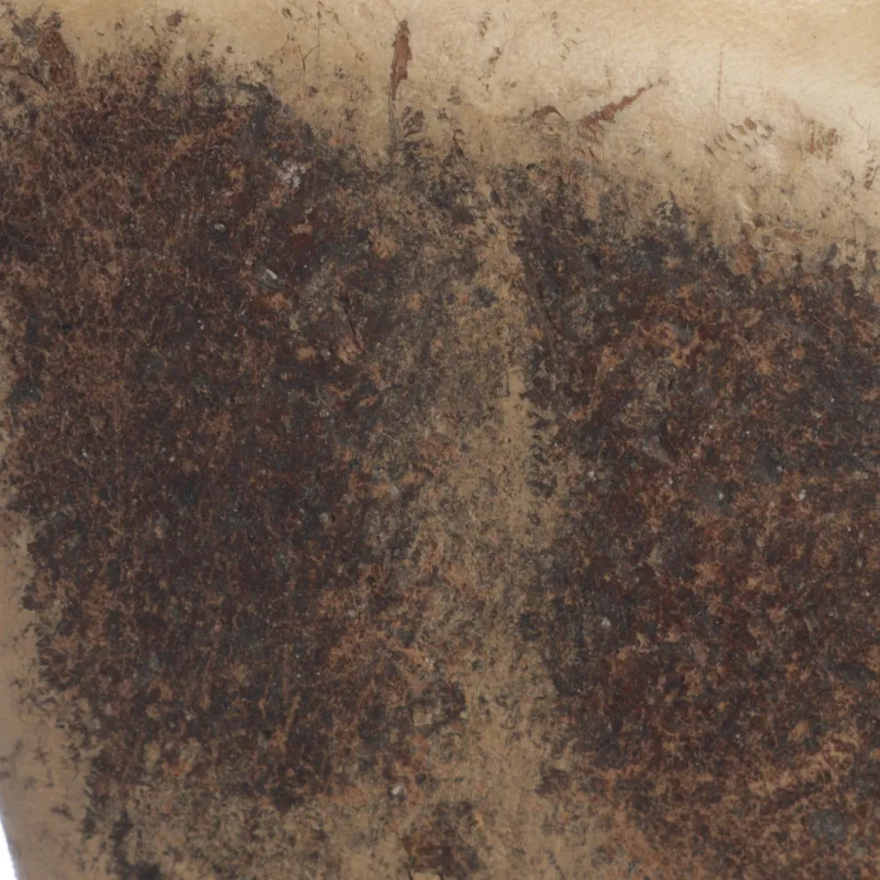 Sandaletten Größe 36